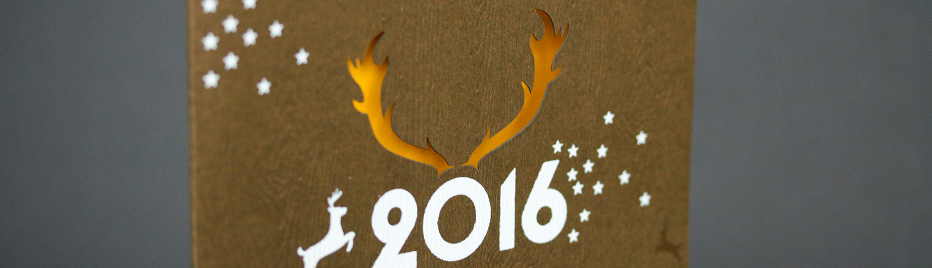 haas_geschaeftsausstattung_4